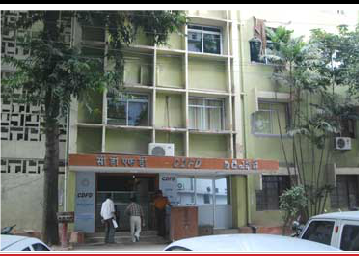 The Centre for DNA Fingerprinting and Diagnostics Logo